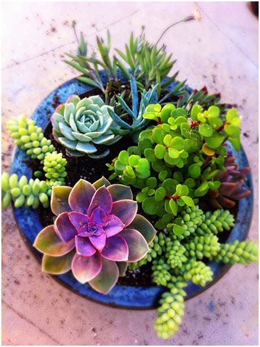 125 Container Garden Ideas and Tips For Garden Pots and Planter Design