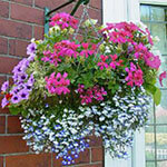 Planter Ideas to Create a Peaceful Place