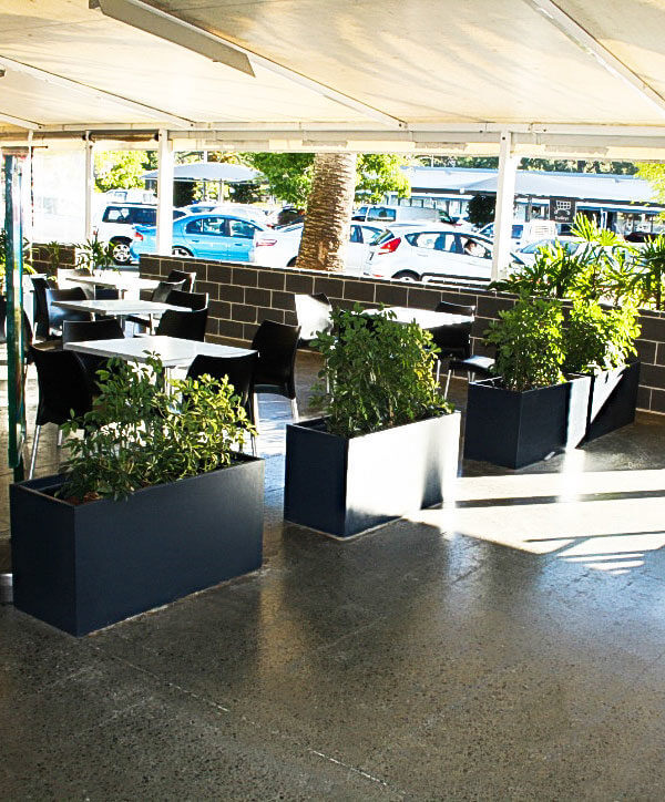 IOTA Fiberglass Trough Planters used for outdoor landscaping in Worongary Town Centre.
