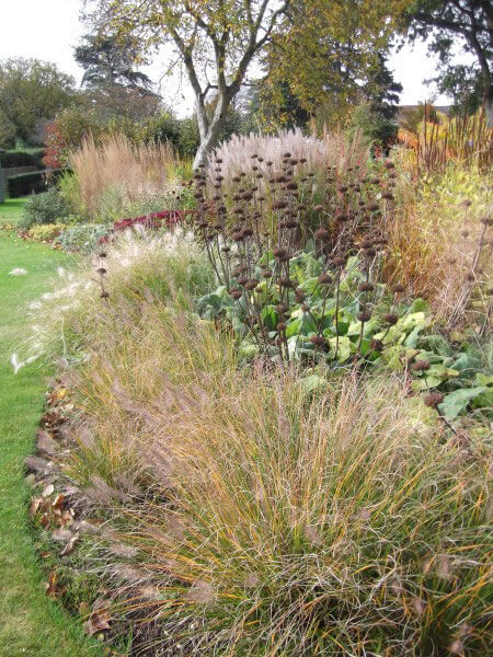 You can just about see the sedums and pennesetum on the left mid distance. A grass and perennial border, Somerset, last October.