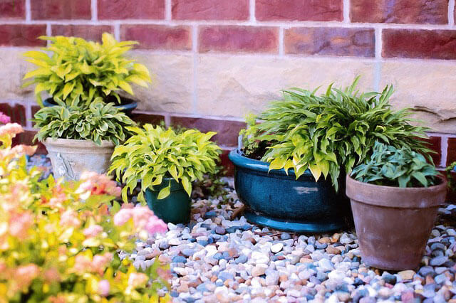 small pots for container garden with limited space