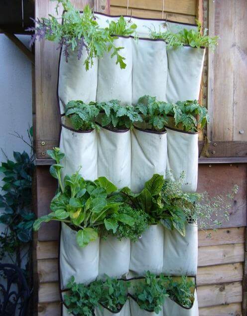 limited-space-vertical-gardening