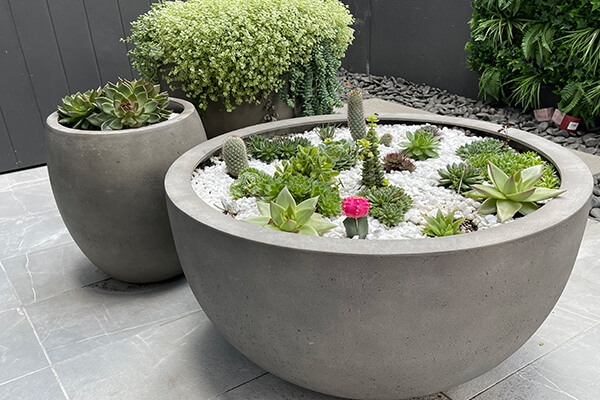 Improving your Outdoor Space with Round Garden Pots - IOTA Designer ...