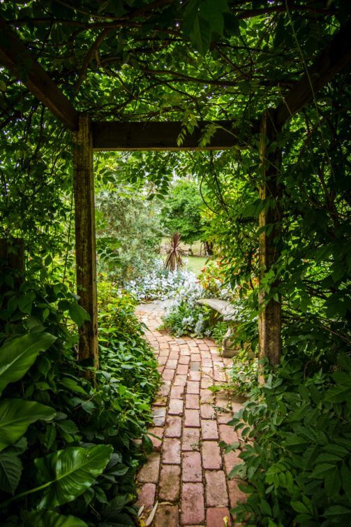 Leafy Tunnel Walkway