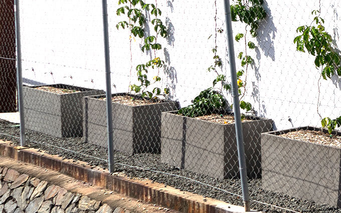 florence concrete trough planter with vines