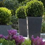 Benefits of Granite Garden Planters