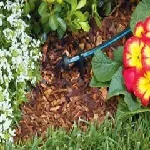 Drip Irrigation Systems – What Your Plants Need