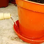 Drip Trays vs Drip Irrigation Systems: Which is Better for Your Container Garden?