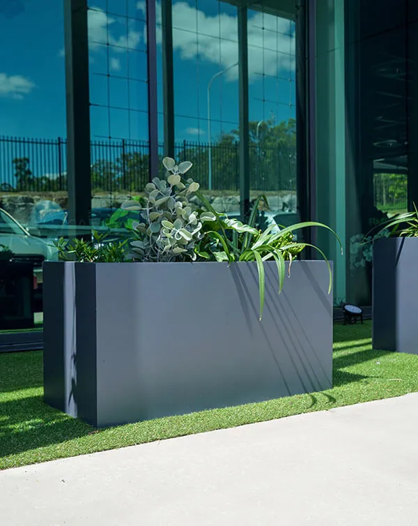 How to Clean and Maintain your Fiberglass Outdoor Planters