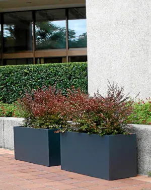 Trough Planter Boxes - Rectangle Garden Pots and Planters