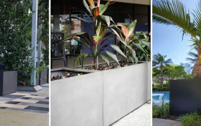 Choosing the Right Garden Pot Material for Commercial and Large Residential Spaces