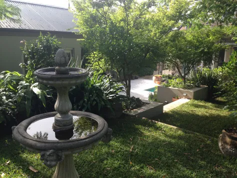 Janna has a bird bath in her home garden in Mosman which attracts a variety of birds.