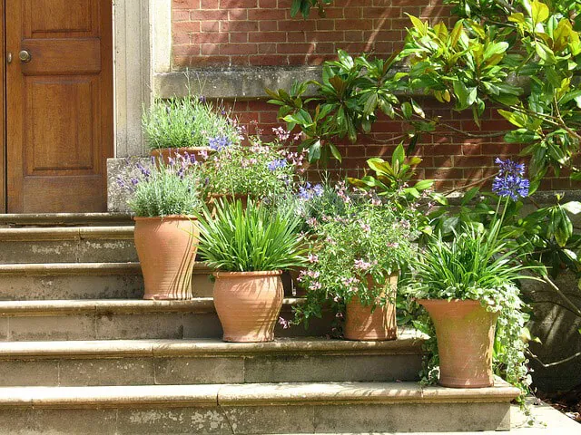 container-gardening-grouping-containers