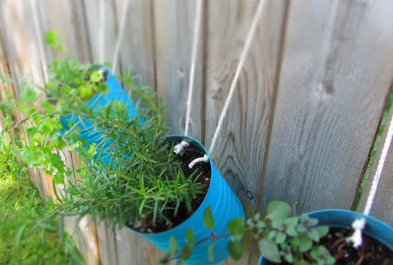 hanging-container-garden