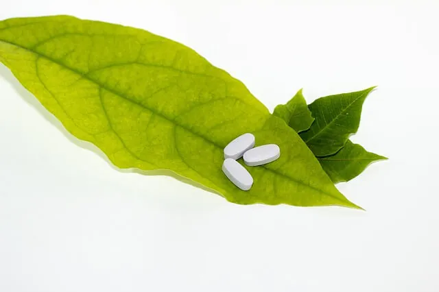 medicinal-plant-properties
