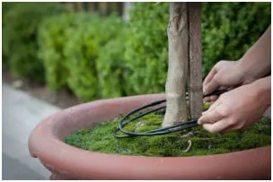 drip irrigation system for potted plants