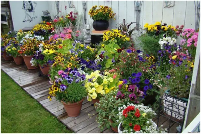 Image Credit: http://www.huffingtonpost.com/2013/04/13/pretty-container-gardens_n_3069509.html