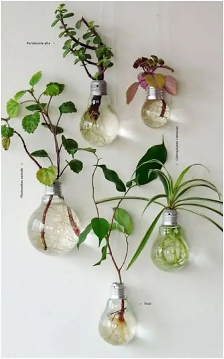 Image Credit: http://recyclenation.com/2011/08/planters-recycle-light-bulbs