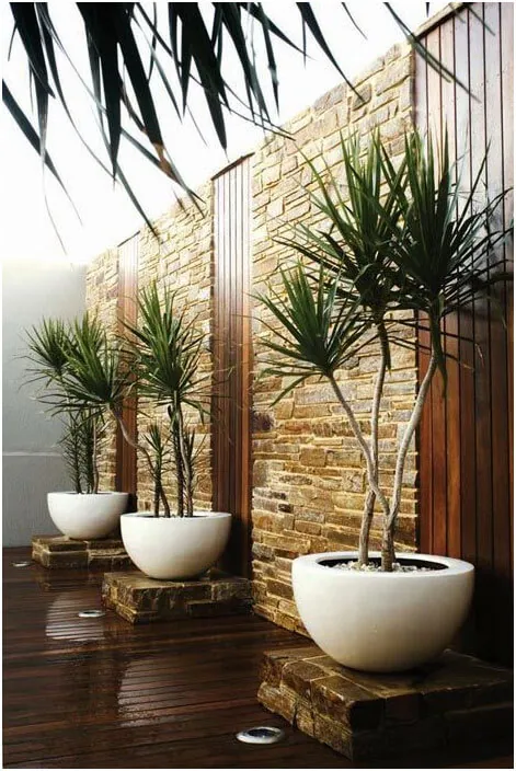 Place-Woody-Plants-in-Containers-for-More-Design-Options