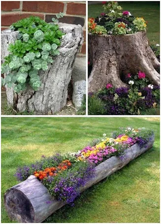 Tree-Stump-Planters