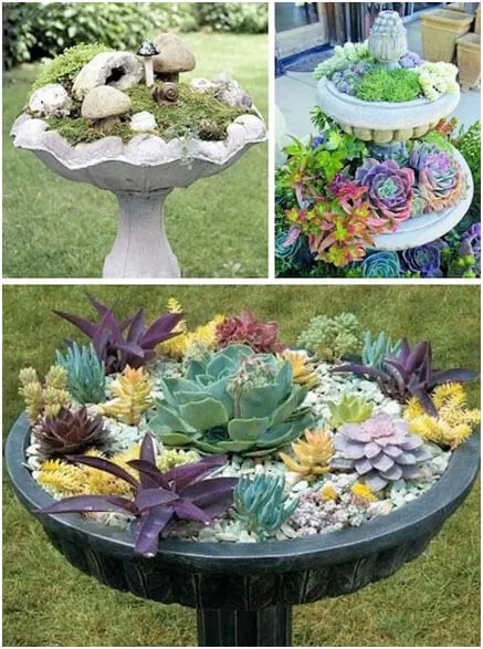 Water-Fountain-Turned-Planter