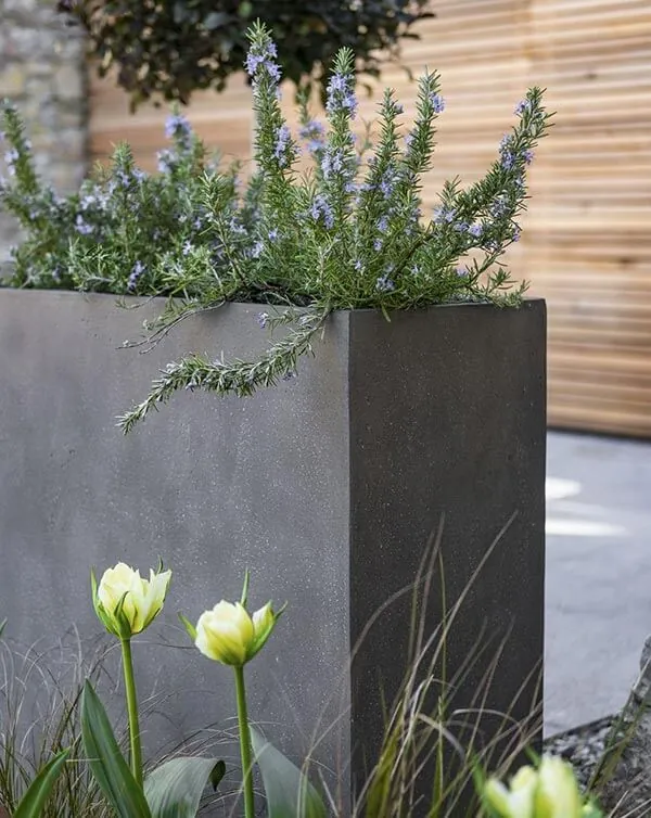 Transform Your Outdoor Space with Trough Planters and Tall Planters