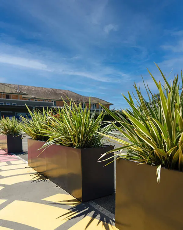 When to Use Fiberglass Planters in your Landscape