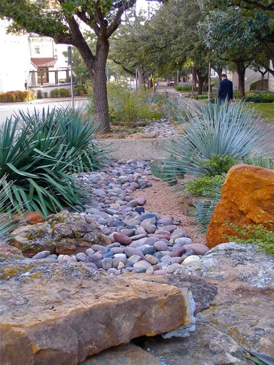 Xeriscaping