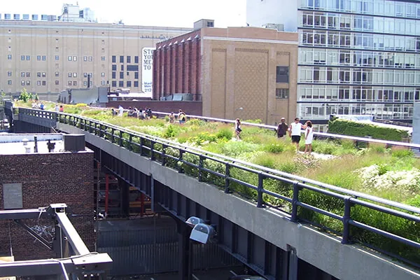 Green Roofs and Living Walls Around the World