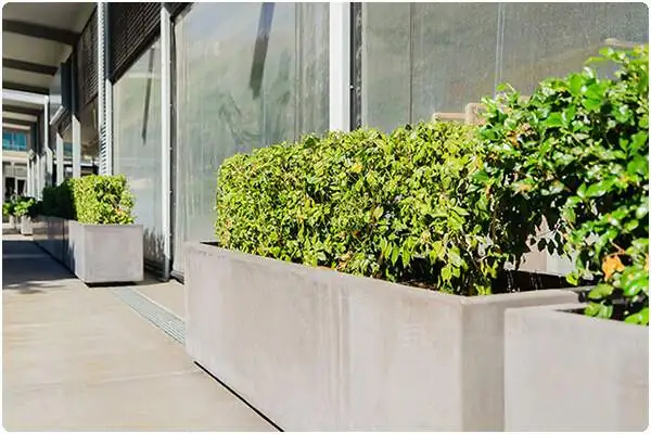 Elevate Your Garden Design with IOTA Australia’s High-Quality Pots and Planters