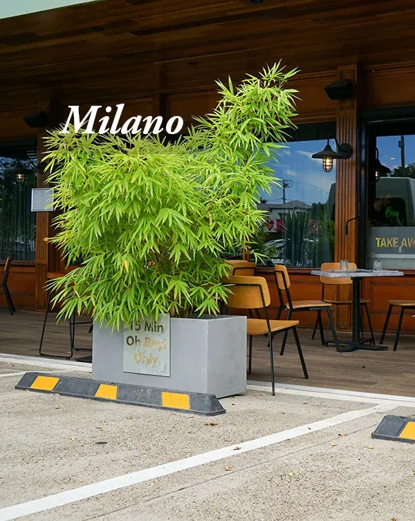 Milano Light Concrete Trough Planter outside restaurant