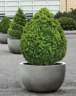 Manhattan Fibreglass Range Trough Planter Box